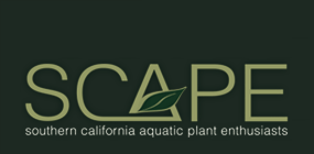 SCAPE - Southern California Aquatic Plants Enthusiasts Club