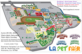 Click image for larger version

Name:	Lapetfair2.png
Views:	232
Size:	1.08 MB
ID:	1286
