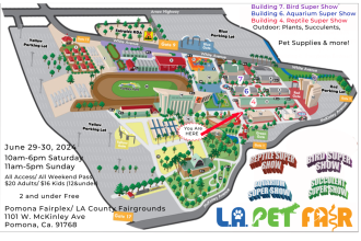 Click image for larger version

Name:	Lapetfair2.png
Views:	194
Size:	1.08 MB
ID:	1286