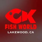 Click image for larger version  Name:	image.png Views:	1 Size:	26.8 KB ID:	1348