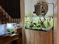 Click image for larger version

Name:	IMG_0680.jpg
Views:	226
Size:	160.5 KB
ID:	1293